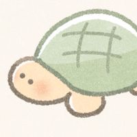 ドタ王324かめのいえ