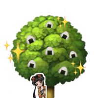 🌳forest専用部屋