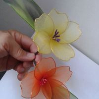 โมจิสั่งลุย