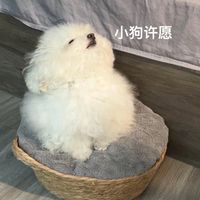 減肥紀錄表