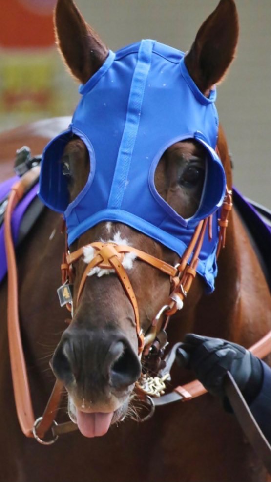 めんたんと競馬競艇狂の仲間たち♡のオープンチャット