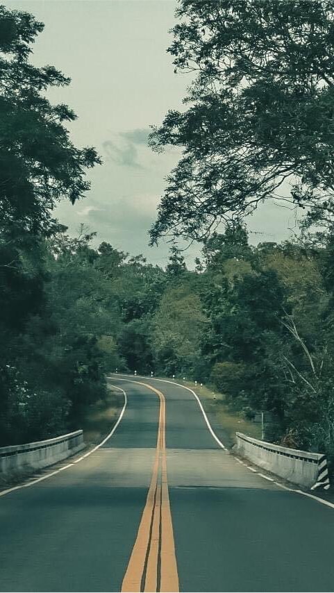 ปรึกษาข้อมูลในการเดินทางในประเทศ