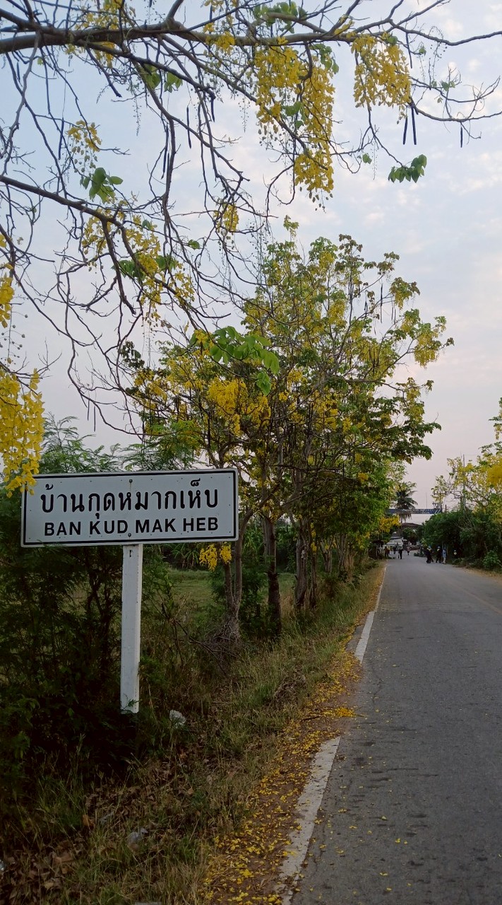 📢หอกระจายข่าว หมู่10 บ้านกุดหมากเห็บ