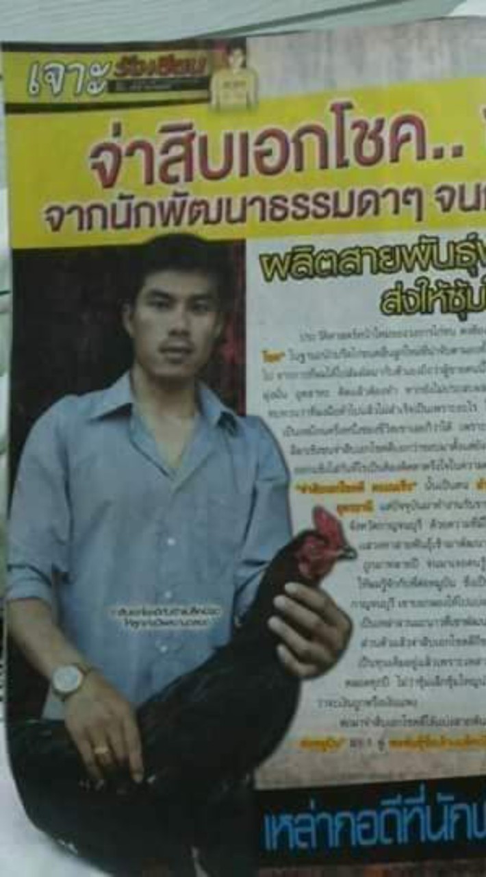 ไก่ชนสายตีโชคชนม์ 119