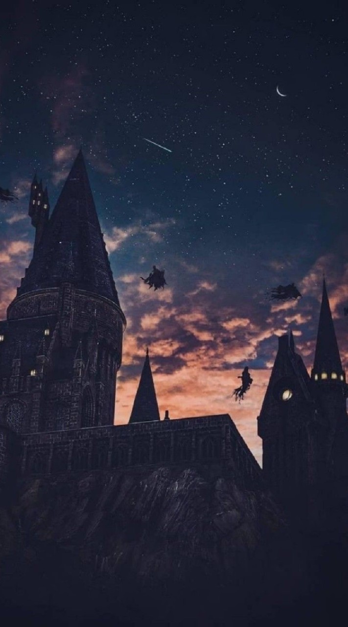 🛡✨𝙃𝙤𝙜𝙬𝙖𝙧𝙩𝙨 𝙇𝙔𝙂.✨🛡