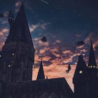 🛡✨𝙃𝙤𝙜𝙬𝙖𝙧𝙩𝙨 𝙇𝙔𝙂.✨🛡