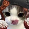 第5しよう