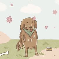 狗狗老闆寵物選品店 Boss Dog Pet Supplies