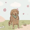 狗狗老闆寵物選品店 Boss Dog Pet Supplies