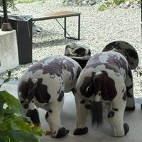 兵庫県🏠カフェ☕️お出かけ仲間募集🍀