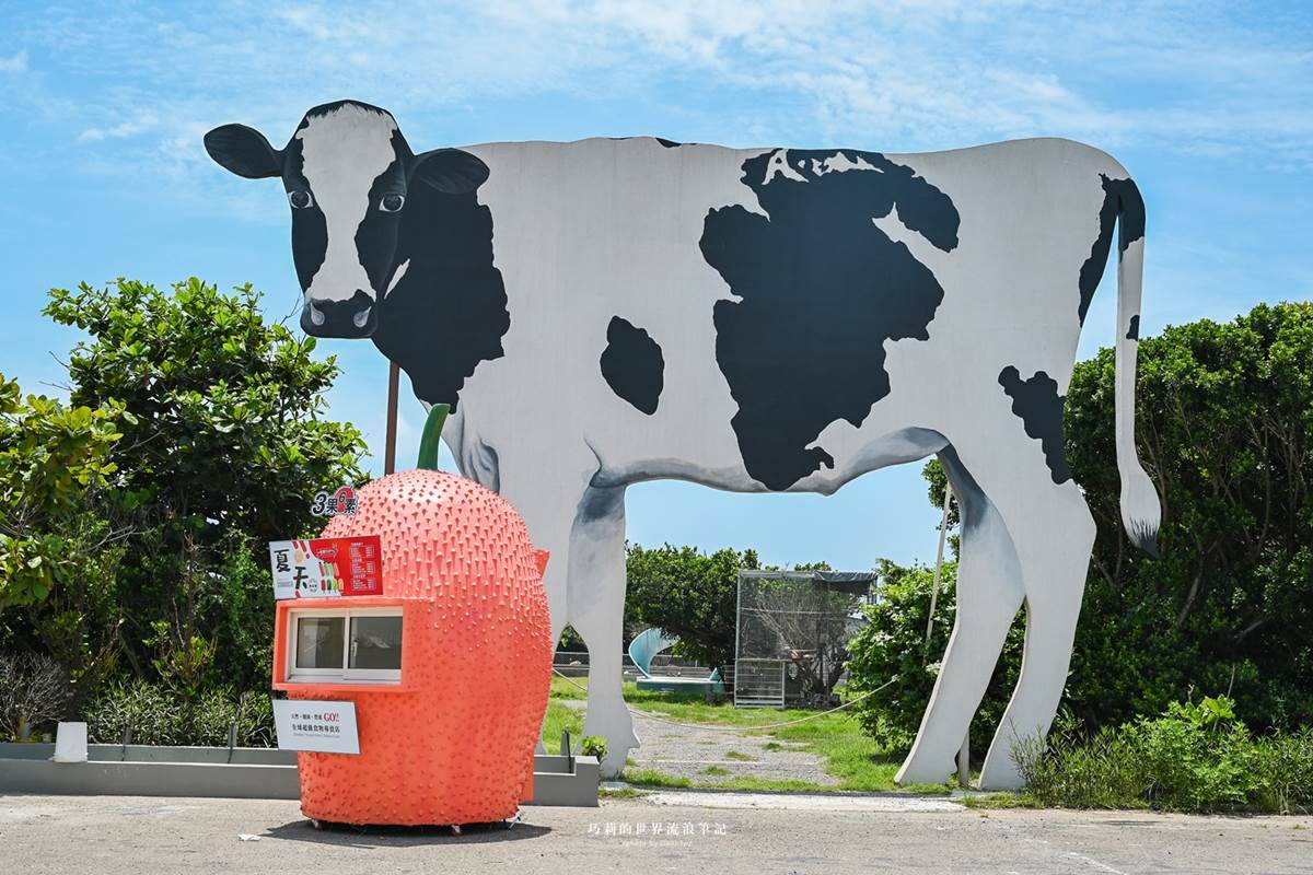 體驗全台唯一「海牛採蚵」！彰化芳苑１日遊必訪６亮點，海鮮控爽吃烤蚵大餐
