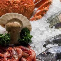 M.K.Lอาหารทะเลขายส่ง ราคาถูก จัดส่งไว รับตัวแทน🐟🦀🦞🦐🦑