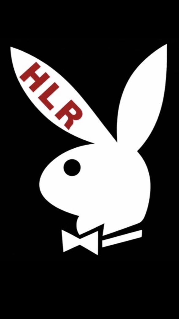 【HLR】チーム