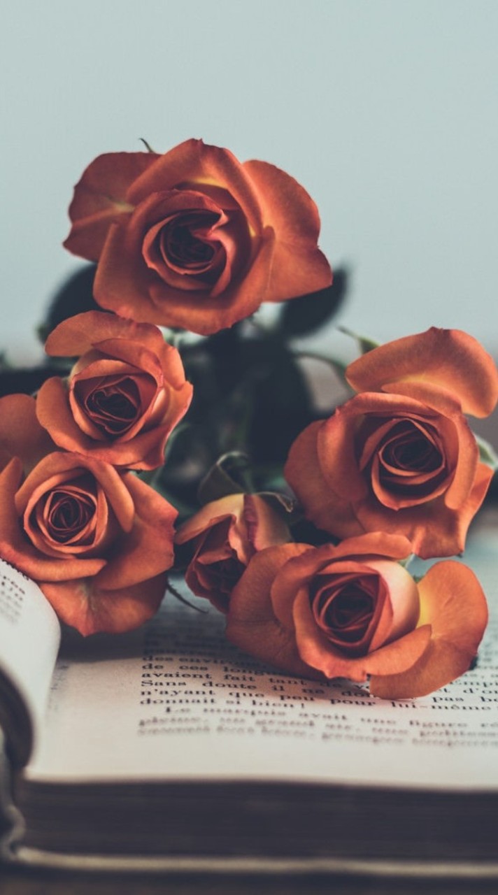 ️40代以上🥀専業主婦✧なんでも話せる場🥀