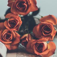 ️40代以上🥀専業主婦✧なんでも話せる場🥀