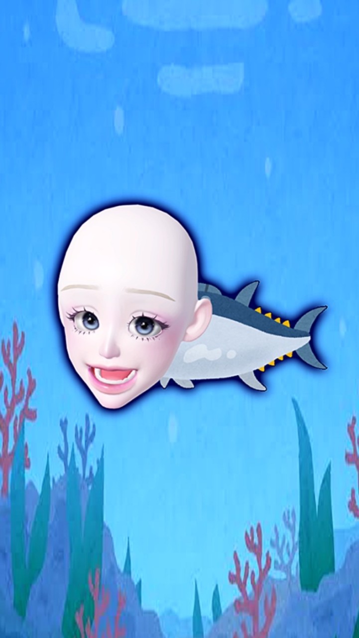 🪸とどの水槽🐟