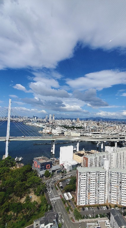 海期撈油吃糖New