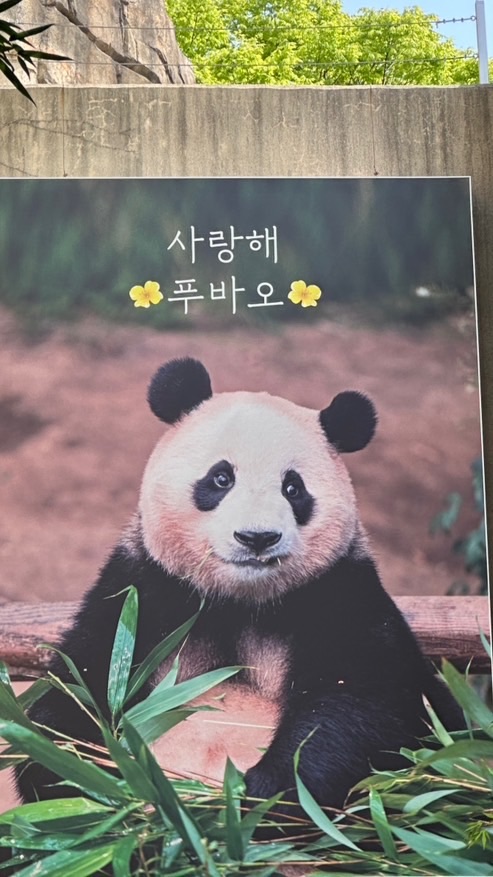 7/6-7 🐼寶家族代購