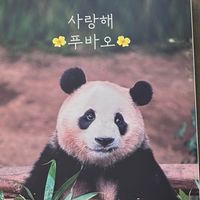 7/6-7 🐼寶家族代購