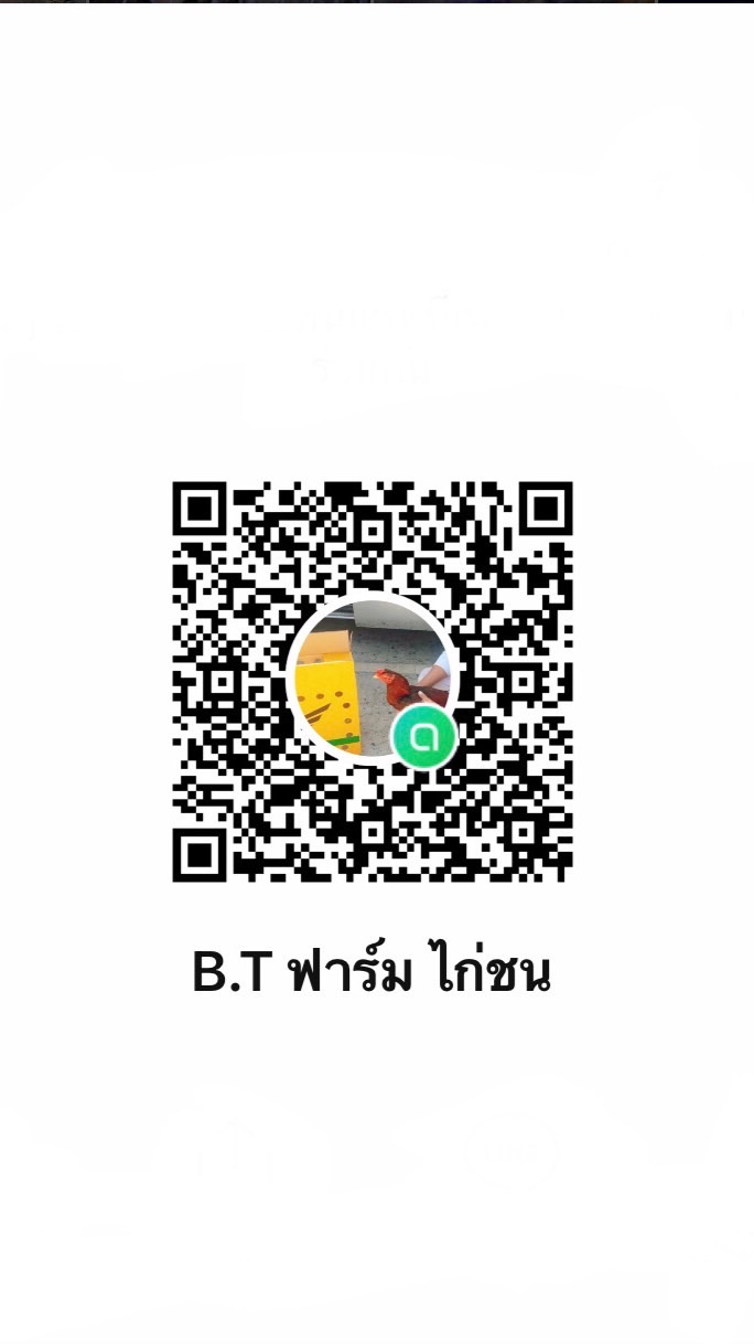B.T ฟาร์ม ไก่ชน
