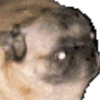 UnNamedGroup (Roblox)