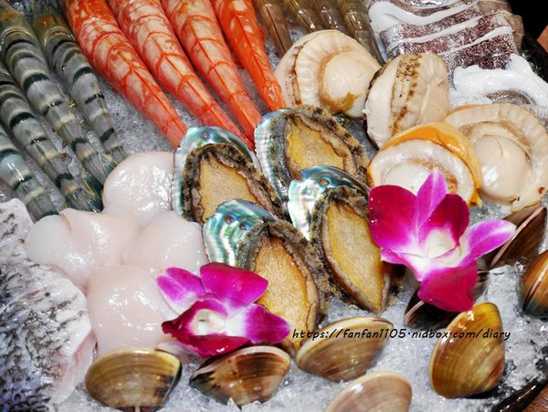 板橋火鍋【瀧鍋物製造所】質感裝潢 嚴選食材 #A5和牛 #肥美海鮮 #必點起司牛奶鍋 #板橋站 (31).JPG