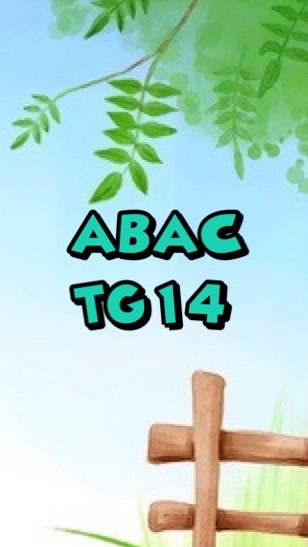 ABAC-TG14