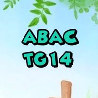 ABAC-TG14