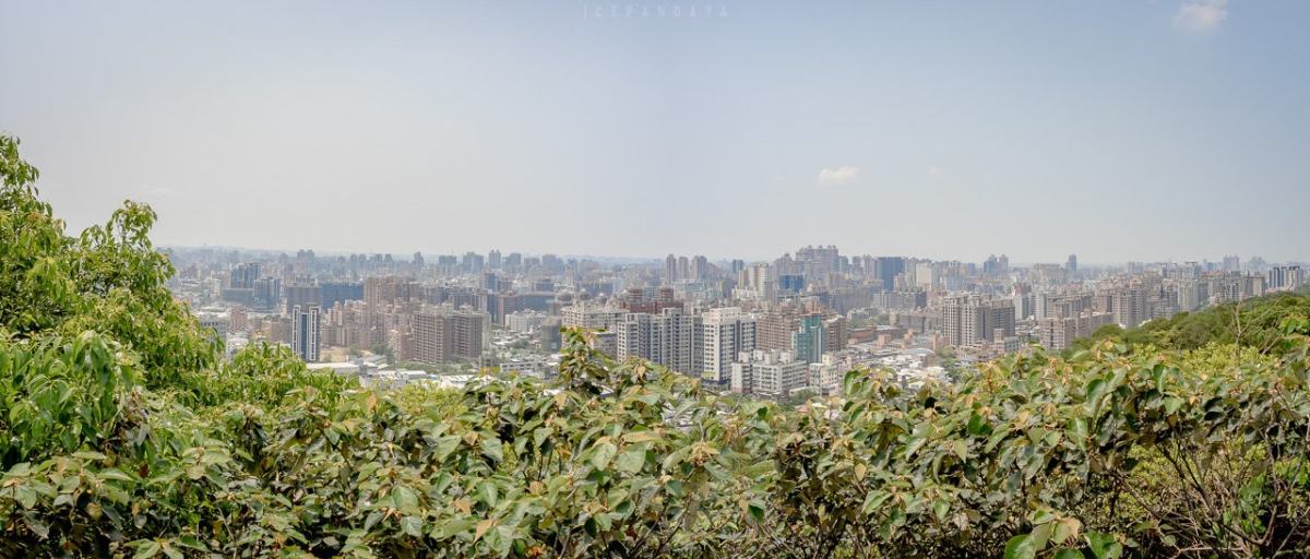 桃園人避暑首選！６條超好走私房步道：夢幻水母廊道、台灣小百岳、瀑布祕境