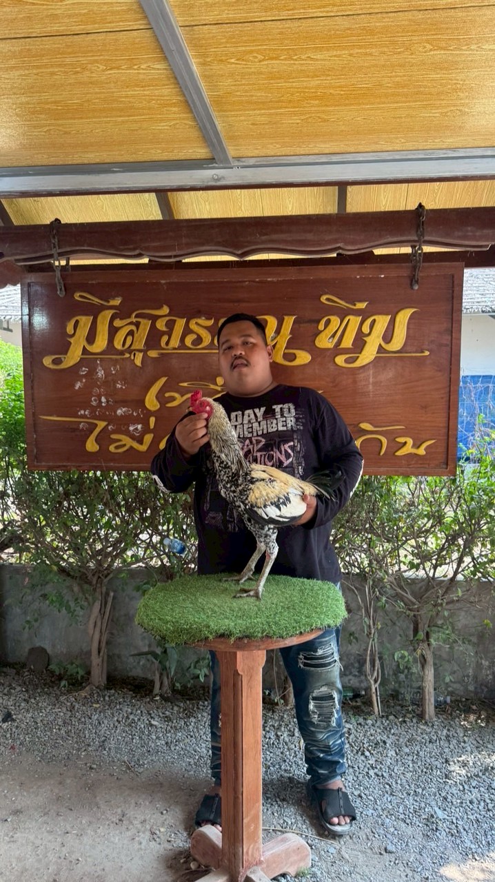 บังอ้วน+ ชามะนาว+มหานคร+เยียมูเซอดำ+แม่แก่ กลุ่ม2