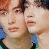 ตันบินแผ่นดินใหญ่