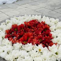 大人限定恋愛相談！