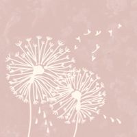 twbabyloss 陪伴天使媽媽爸爸
