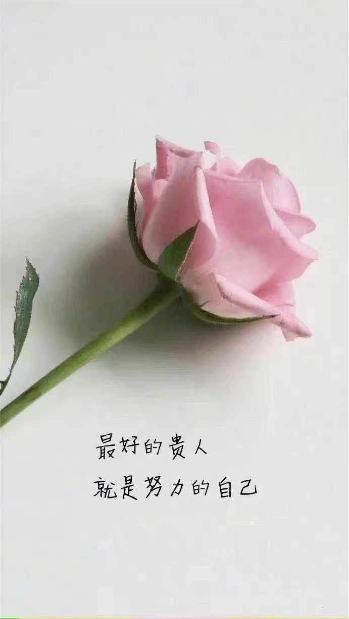 每日一句正能量