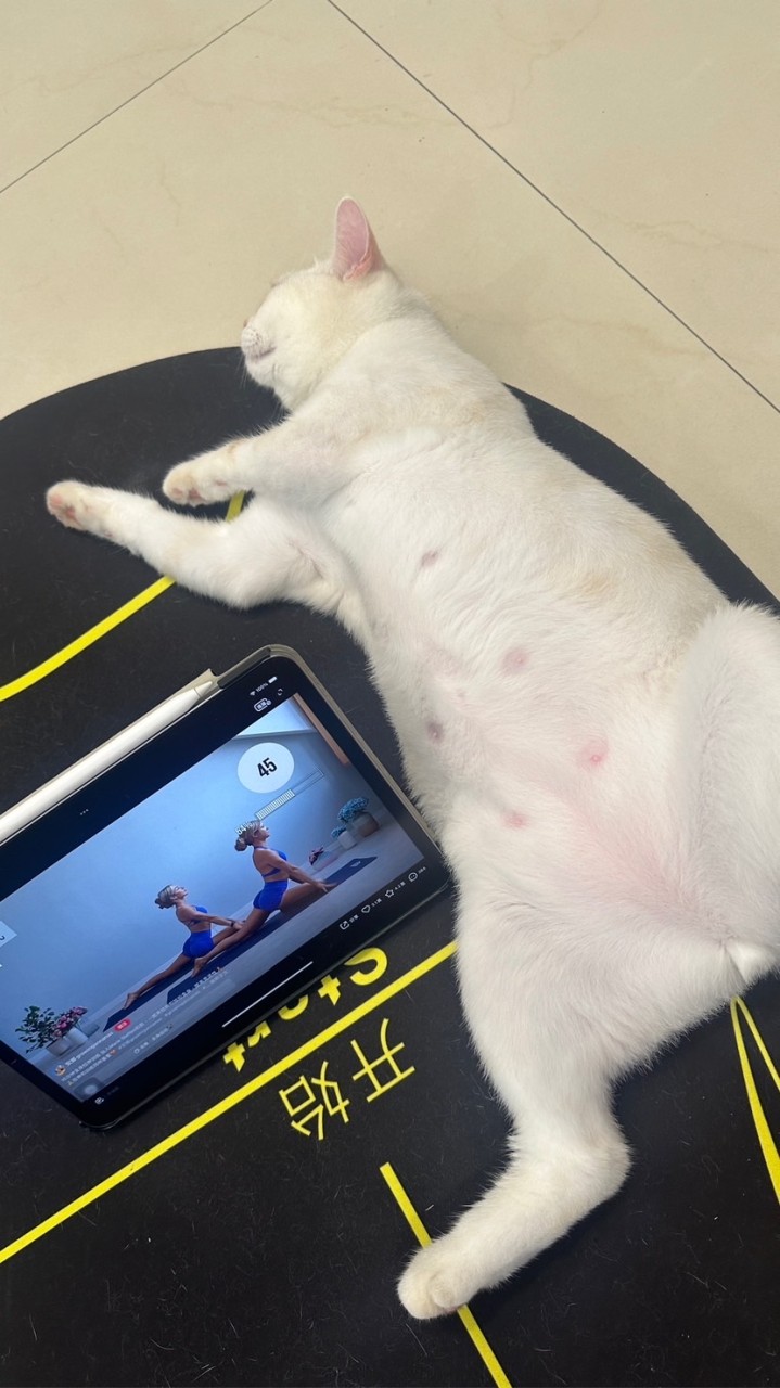 蘆洲羽毛球🏸之約