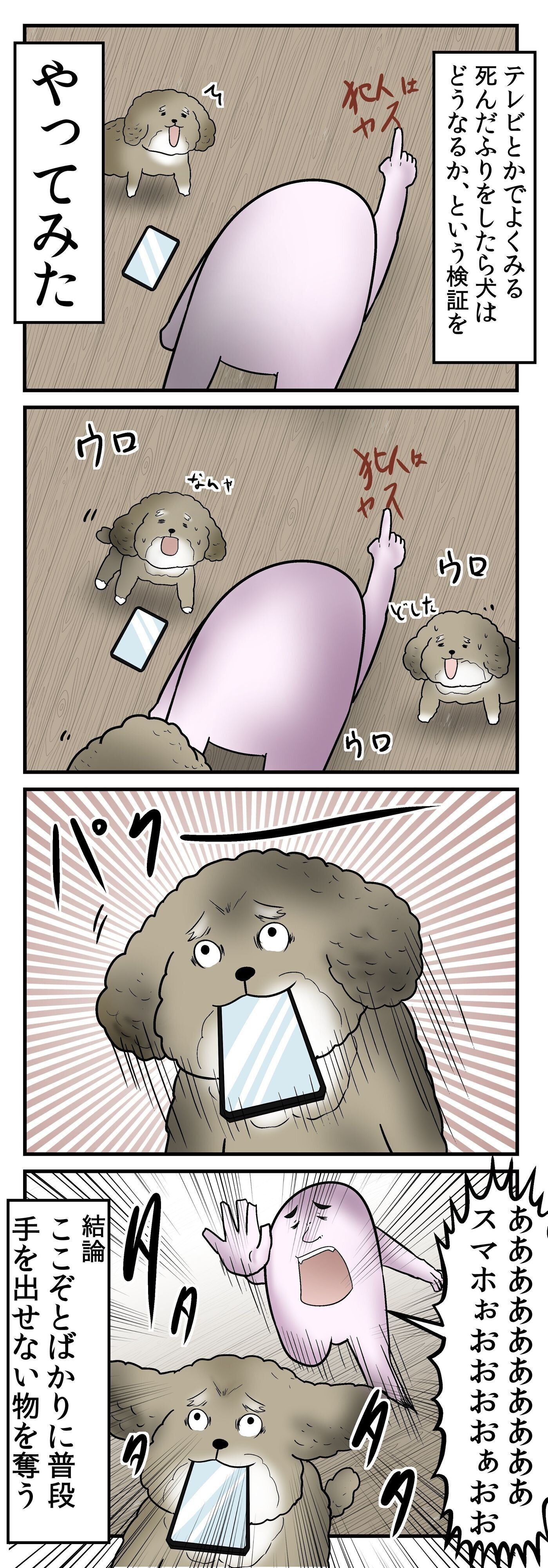 犬と一緒に寝ることをおすすめできない理由とは