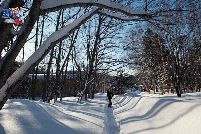野生動物的的故鄉 釧路溼原蒼茫大地 @去旅行新聞網