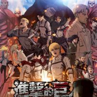wp大家族