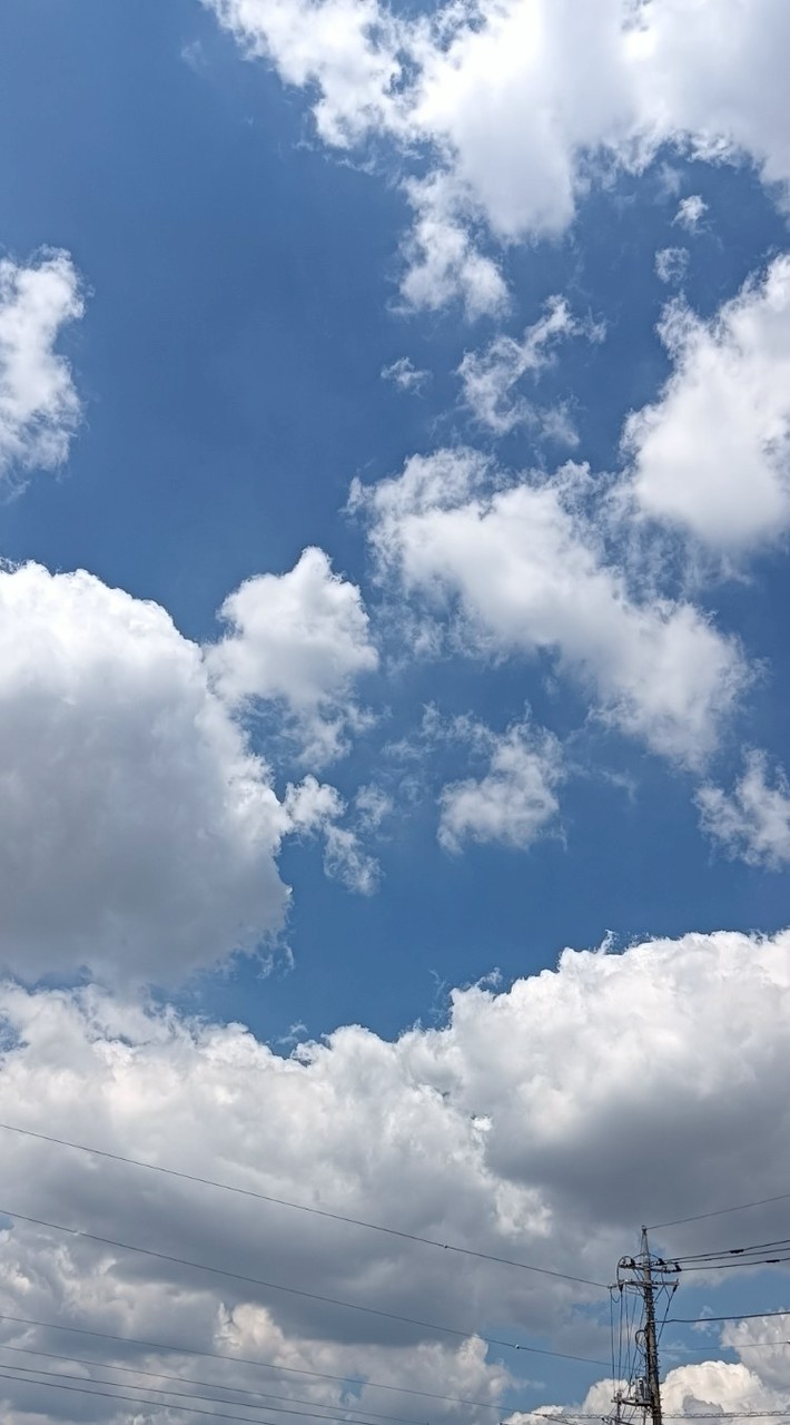 みんなでおしゃべりしよ〜！（学生限定）