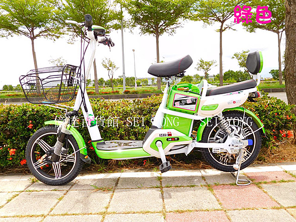 新款電瓶車 雙人電動自行車 兩輪男女代步電動車 附椅背 腳踏電動車 特價~