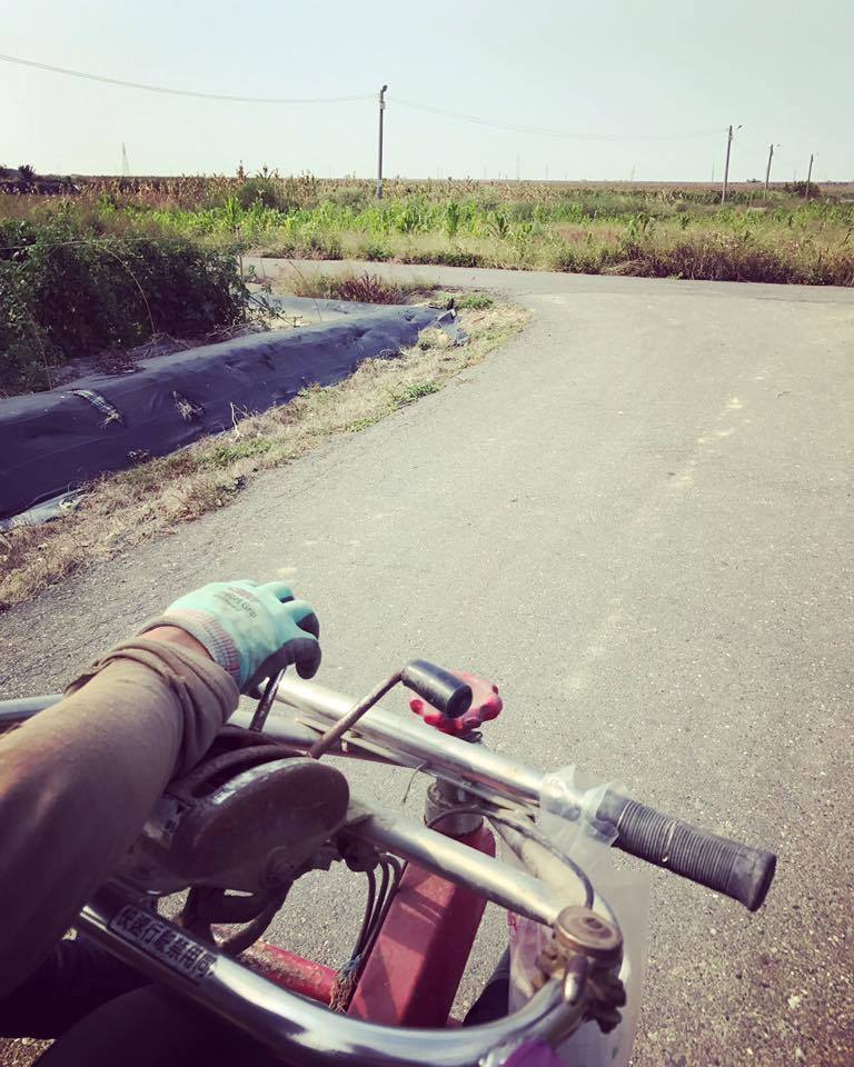 青年返鄉-妳好南搞-南國微醺-04