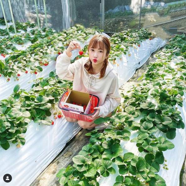 （圖片來源／IG ＠y_212u）