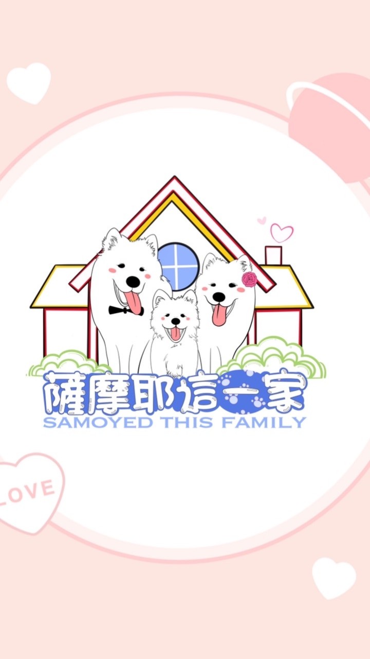 薩摩耶這一家Samoyed this Family