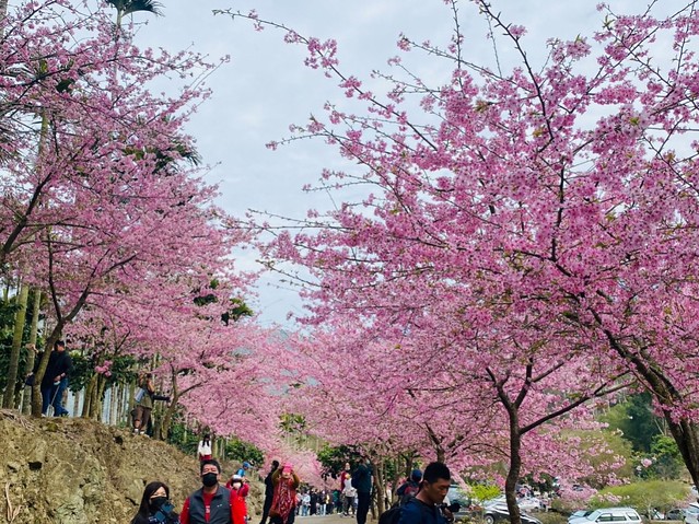 2023青山坪農場