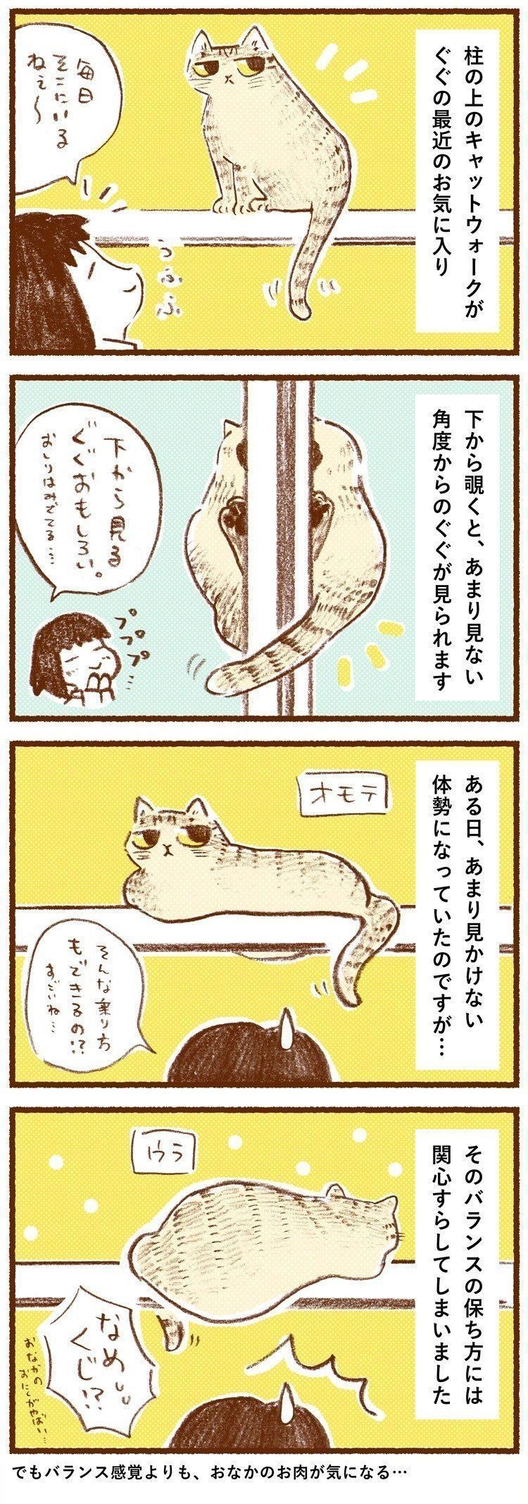 猫のバランス感覚にびっくりだけど はみ出したお肉が