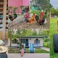 【台中沙鹿 住宿】好瓦文旅 以書為主題的旅店 可愛小動物區 木工裝置藝術 彷彿置身異國田園風光