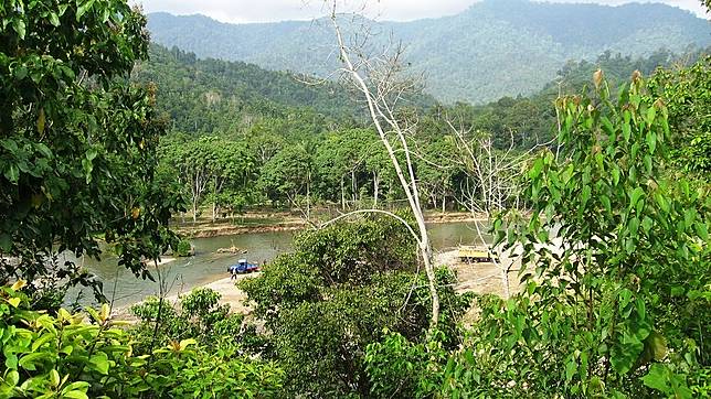 6100 Koleksi Foto Penampakan Suku Mante Terbaru