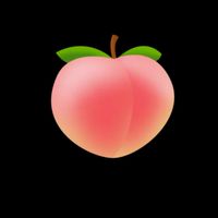 ครอบครัวบ้าน 🦇🍑 My Family