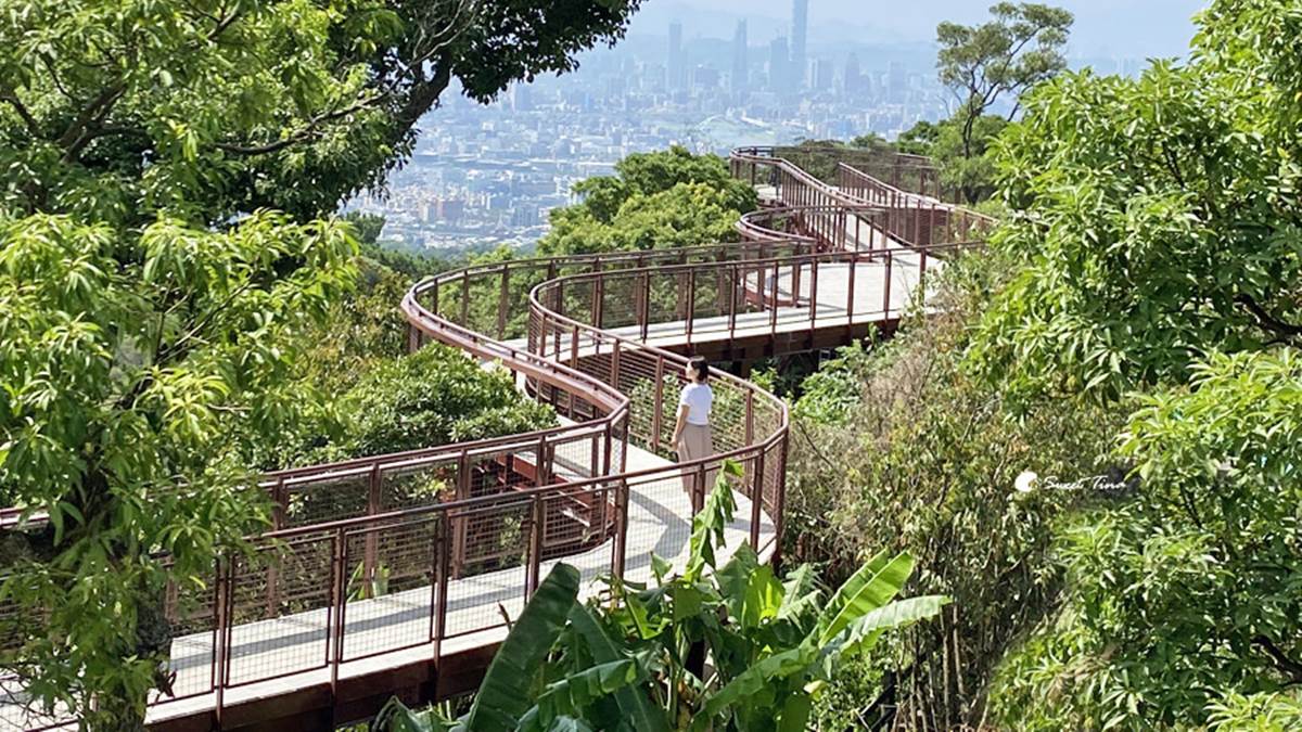 輕鬆好走不費力！內湖６條森林步道：80米「S型空中長廊」、紫色龍形吊橋