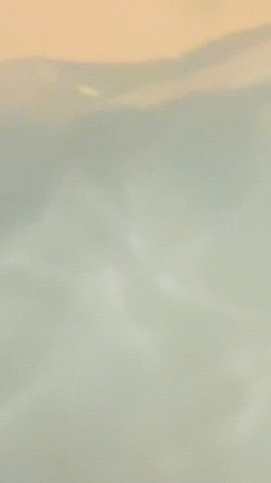 * 𝟸𝚓𝟹𝚓  激緩 なりきり ハント *